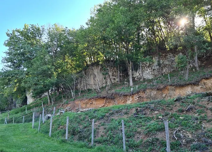 Le Sechoir Des Acacias, Les Chenes Verts Avec Piscine Chauffee